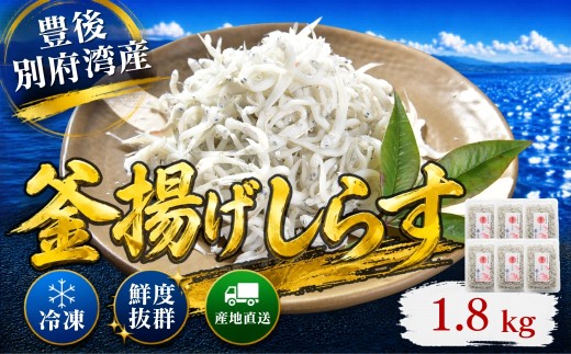 豊後別府湾釜揚げしらす 計 1.8kg（300g×6p） 国産 添加物不使用 ／ 釜揚げしらす かまあげしらす カマアゲシラス 小分け 国産 しらす シラス 1kg 1キロ 釜揚げ シラス丼 海鮮丼 おつまみ 冷凍配送 冷凍 スピード発送 スピード ＜108-216＞