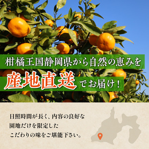 みかん 特秀 名匠 5kg 三ヶ日 S〜M 果物 フルーツ みかん