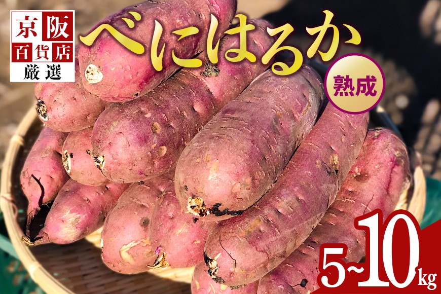 
            【京阪百貨店厳選】茨城県産べにはるか 選べる 5kg 10kg （熟成）[A品L～2Lサイズ] [サイズ無選別品] 芋 さつま芋 サツマイモ さつまいも B18-SKU-002
          