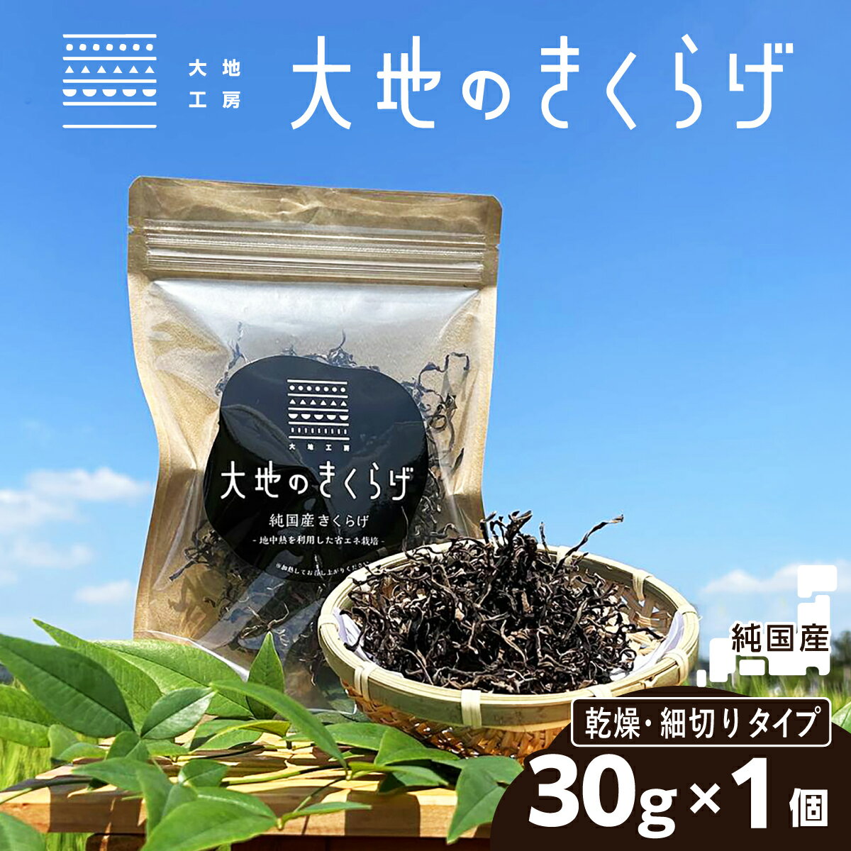 【ふるさと納税】国産 乾燥 きくらげ 細切りカット 30g 大地のきくらげ | キクラゲ 30g 木耳 乾物 細切り カット 使いやすい 乾燥食材 食物繊維 鉄分 ビタミンD 食材 肉厚 旨み 料理 惣菜 おかず 中華 料理 野菜 埼玉県 桶川市
