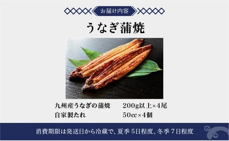 うなぎ蒲焼き 800g (200g×4尾) 