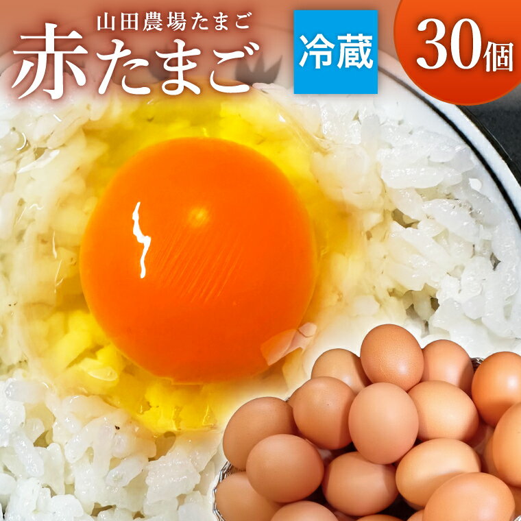 【ふるさと納税】山田農場たまごの赤たまご30個（27個+割れ保証3個）【冷蔵】【選べる発送時期】＜30日以内・7月発送＞/卵 タマゴ 玉子 鶏卵 生卵 生たまご 楽天限定