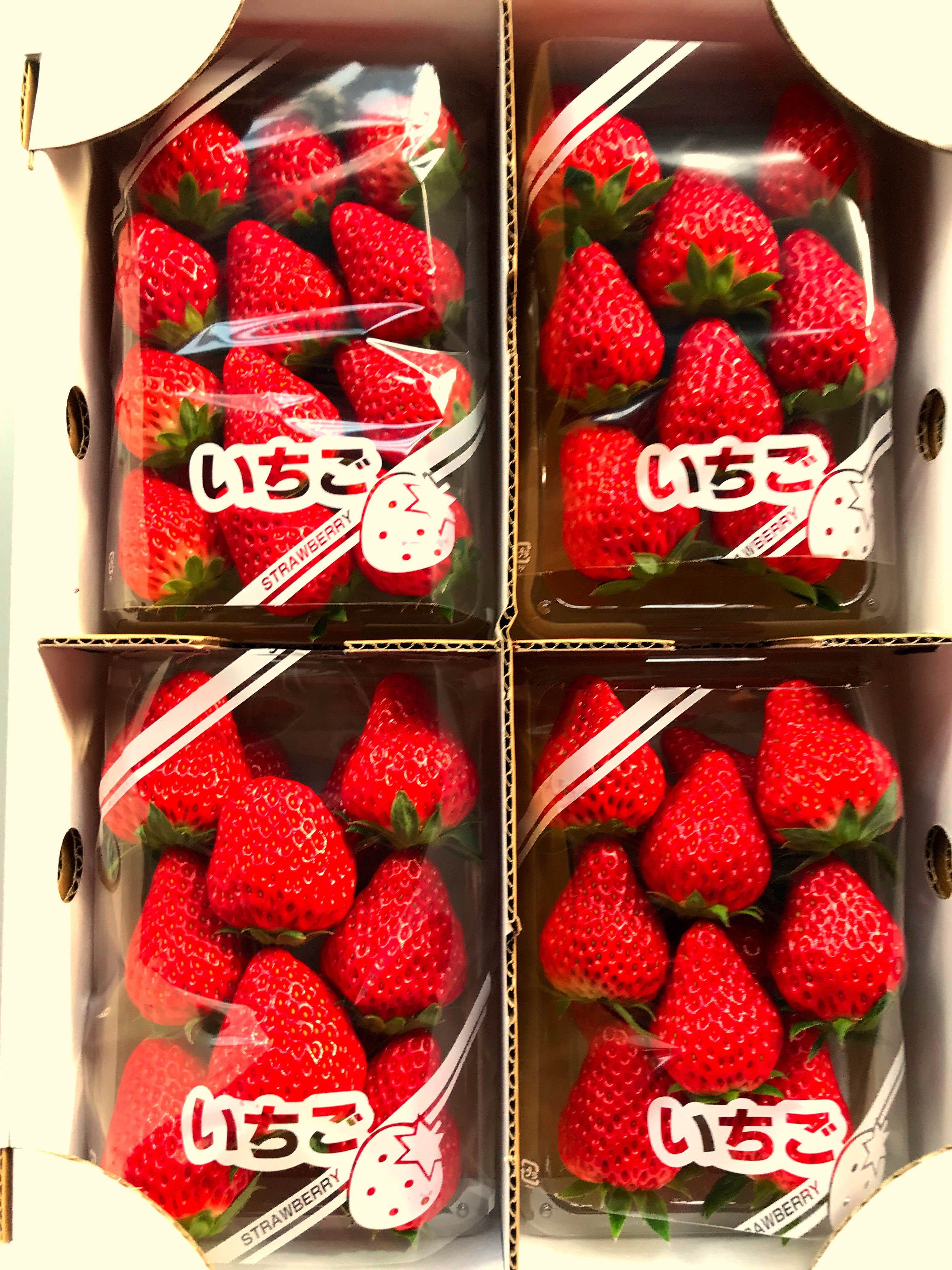 
                  かわうちベリー【紅ほっぺ】いちご　250g×4パック
                