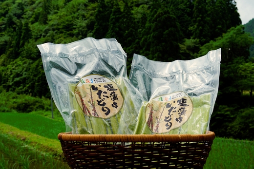 冷凍塩漬けイタドリ 250g × 5袋 セット 冷凍 高知県産 いたどり イタドリ