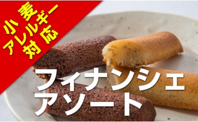 【北上産/米粉100％仕様】 フィナンシェ アソート 10個 米粉 無小麦 アレルギー しっとり フワフワ 詰め合わせ 手土産 贈答 岩手県 北上市 B0249 年末年始おすす 冬ギフト お正月スイーツ 手土産 パーティースイーツ おやつ 手作りクレープ グルテン制限 ギフト手土産 お取り寄せスイーツ とろける食感 手作りスイーツ 小麦制限 クリスマス