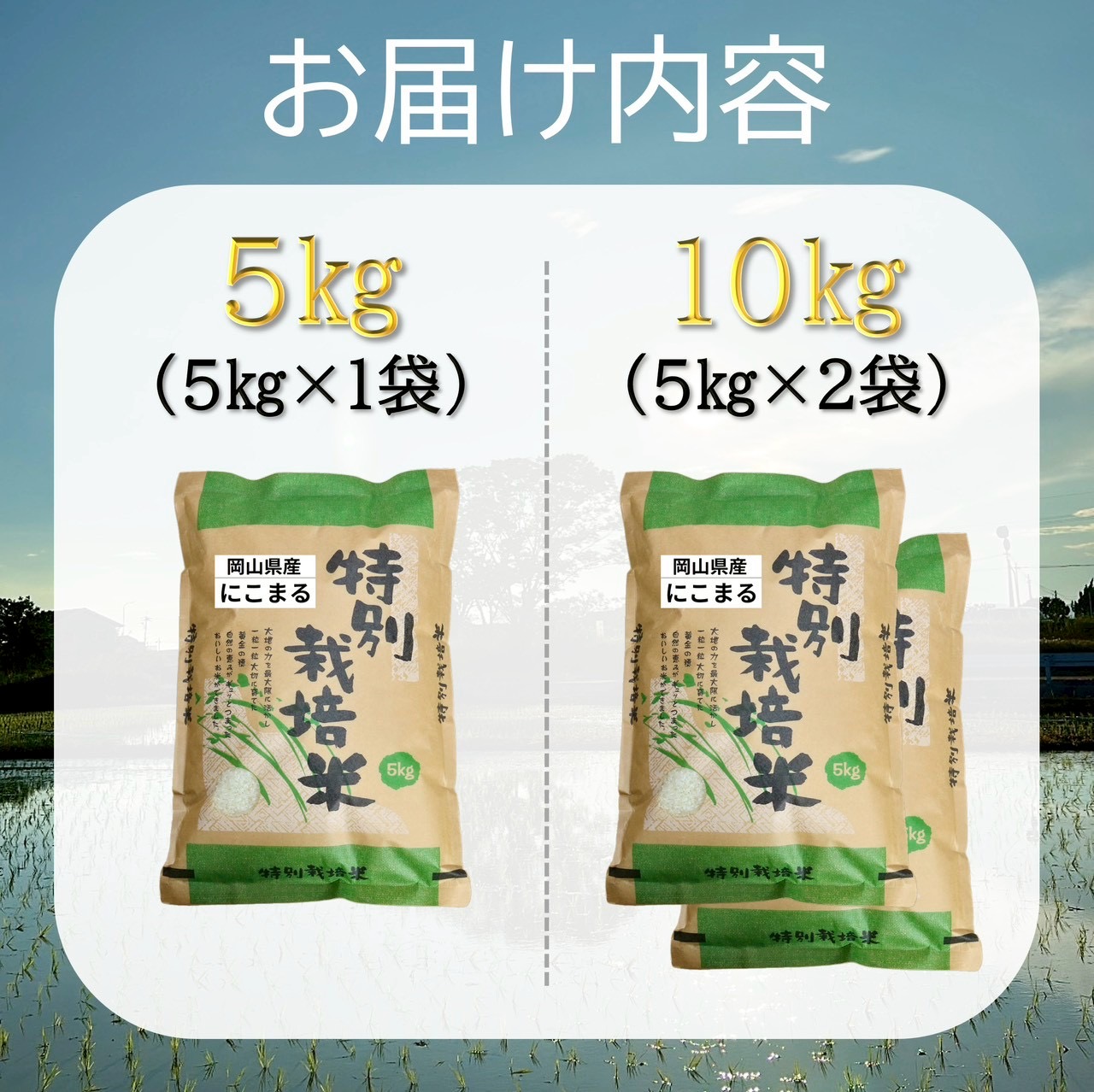 【お米　特別栽培米】岡山県産「にこまる」5kg（令和7年産）