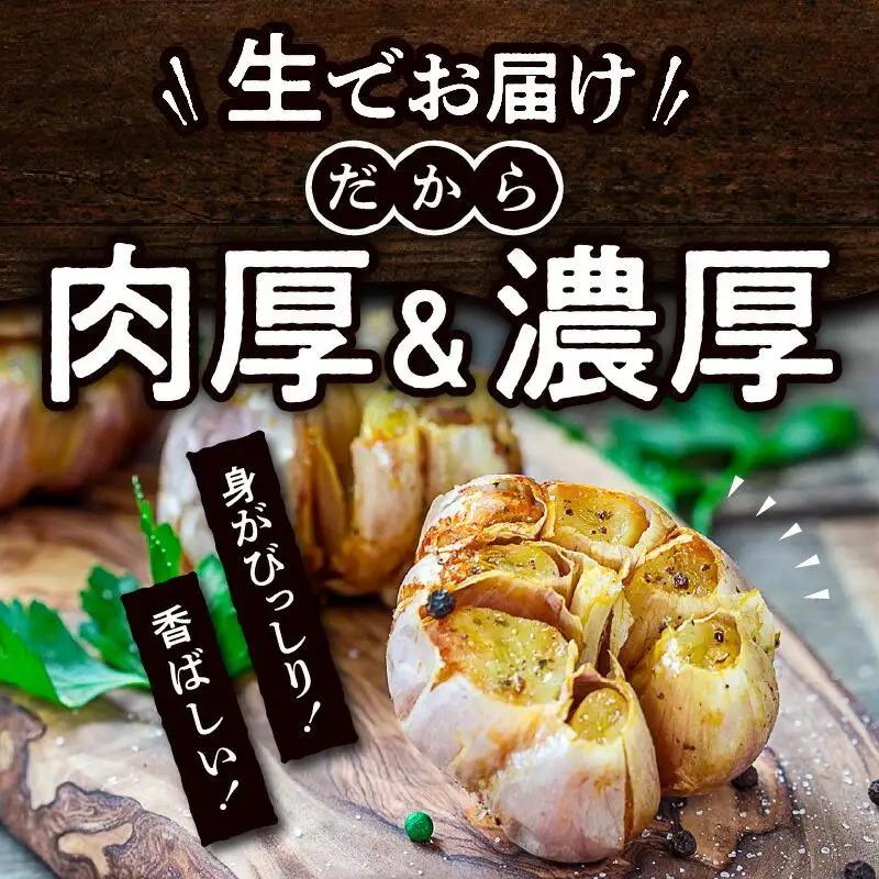 加工用 訳あり 生にんにく 約4kg【2026-5月上旬～2026-6月上旬配送】| にんにく