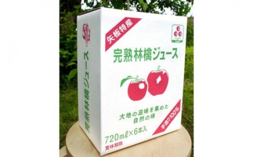 【定期便6回】 矢板市産 完熟りんごジュース《720ml×6本 1箱》｜林檎 リンゴ 果汁100% 産地直送 (毎月お届け）  