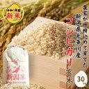 【ふるさと納税】米 新米 玄米【令和6年産 新米】新潟県産 コシヒカリ 玄米 30kg 2024年産 精米対応不可 1等米 木島米穀店【米 お米 玄米 米 こめ コメ こしひかり ご飯 ライス ブランド米 新潟県 糸魚川産 2024年産 食品 人気 おすすめ 玄米30キロ】