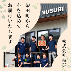 モスインテリア「リス」(フクシャ) ＜横200mm・高さ200mm・幅15mm＞ 観葉植物  苔 コケ テラモス インテリア 植物 【結び】 sh028-C