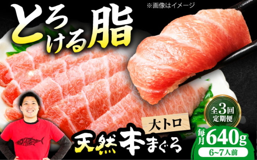 【全3回定期便】極上！たね熟天然本まぐろ大トロ(640g) 天然 マグロ 鮪 大トロ 刺身 魚 魚介 魚介類 海鮮丼 本マグロ 本まぐろ 本鮪 赤身 大トロ 冷凍 お刺身 お寿司 大阪府高槻市/本まぐろ直売所 [AOCE025]