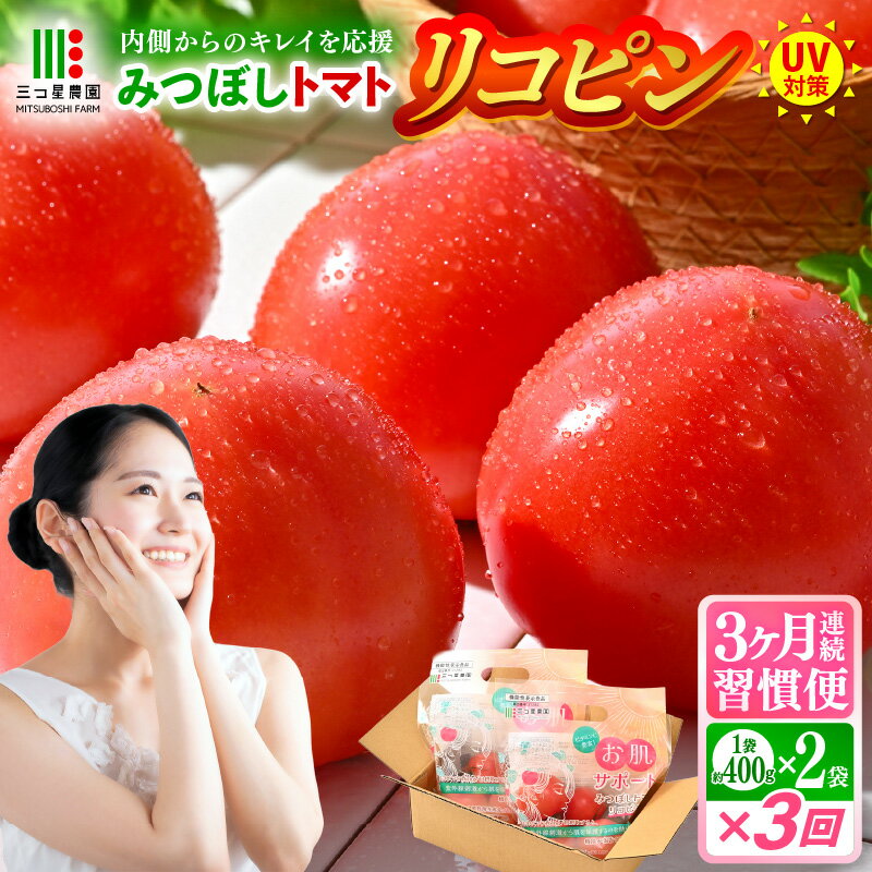 【ふるさと納税】定期便 ≪3ヶ月連続お届け≫ リコピントマト習慣便 みつぼしトマト リコピン 約400g × 2袋 × 3回 (計2.4kg) 定期便 とまと トマト 生鮮トマト 健康 美容 機能性表示食品 野菜 生野菜 新鮮 産地直送 国産