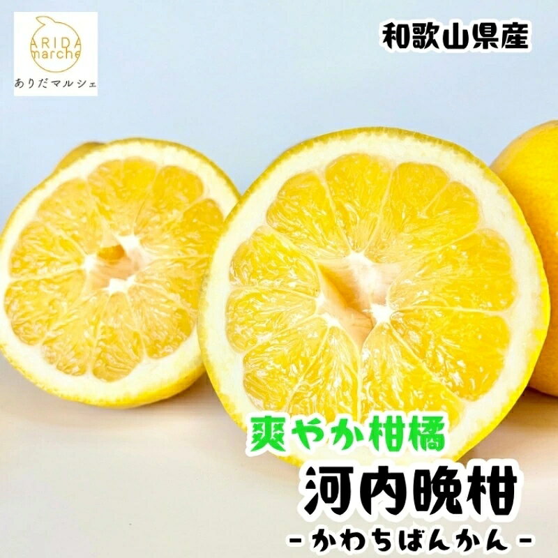 【ふるさと納税】【和製グレープフルーツ】有田育ちの河内晩柑(ご家庭用) 約1～7.5kg（＋傷み補償分200g） ※2027年4月上旬〜5月下旬に順次発送予定