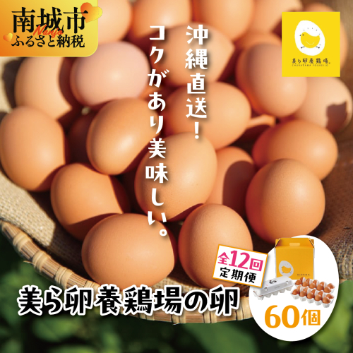 卵の黄身が掴めるほどの新鮮さ 美ら卵養鶏場の卵 60個【12ヶ月定期便】   I  たまご タマゴ  卵 美ら卵 養鶏場 美ら卵 新鮮  養鶏場  定期便   60個   沖縄県 南城市 ふるさと納税 有限会社 美ら卵養鶏場
