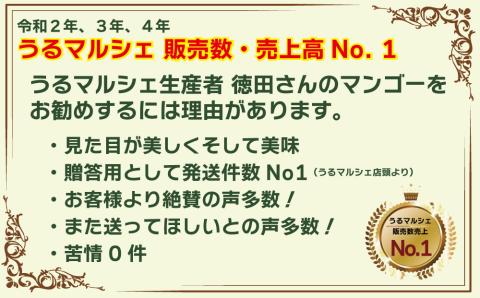 【ふるさと納税】【超希少大玉600g超】徳田さんの極上贈答用マンゴー 特大玉3個で約2kg 【 先行予約 2026年発送 】 アップルマンゴー マンゴー 極上 贈答用 沖縄県産