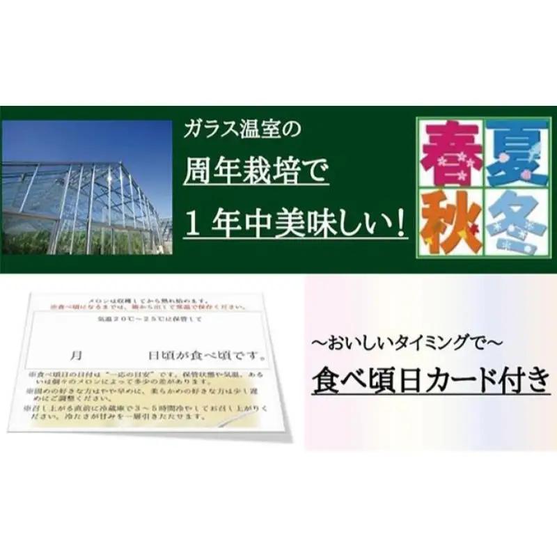数量限定！『クラウンメロン 山等級 ”極みメロン” 3玉』 ギフト箱入 人気 厳選 ギフト 贈り物 デザート グルメ 果物 袋井市 果物類 メロン青肉 フルーツ 