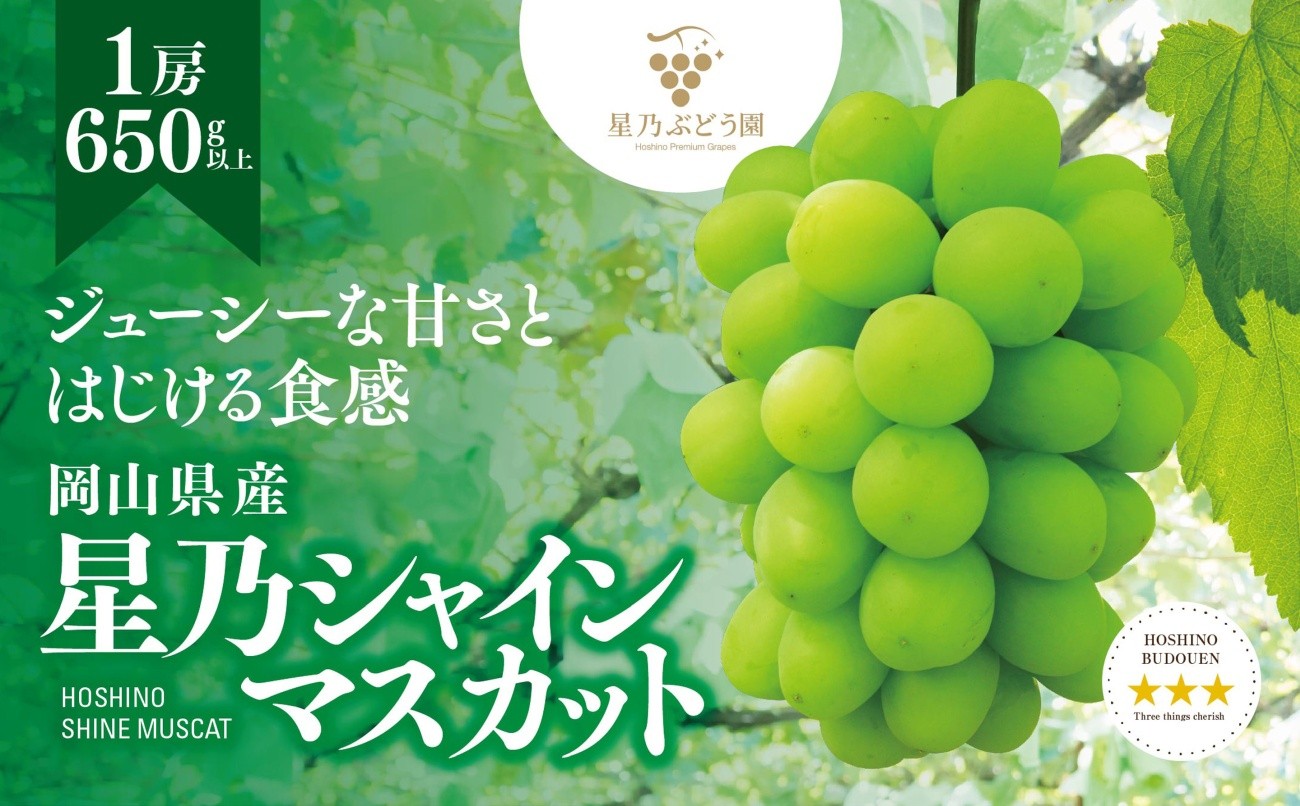 
                  ＜三つ星ブランド＞星乃シャインマスカット 数量限定 (岡山県産) 1房(650g以上)【1746014】
                