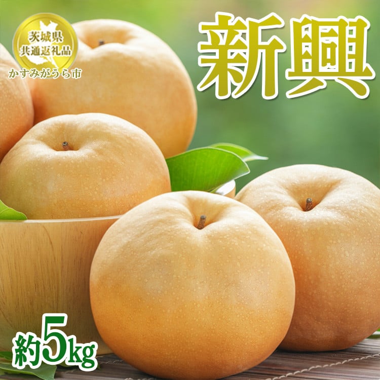 
            茨城県産【新興梨】約5kg【茨城県共通返礼品　かすみがうら市産】※離島への配送不可
          