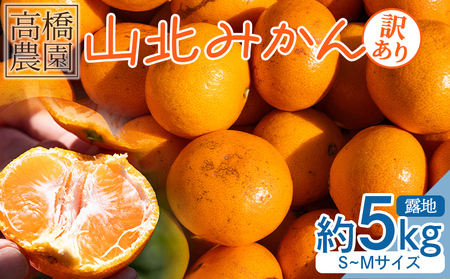 みかん 5kg 山北みかん 家庭用 露地(Ｓ～Ｍ) 高橋農園 【みかん 果物 みかん フルーツ みかん デザート みかん 高評価 みかん 人気 みかん おすすめ】 th-0015