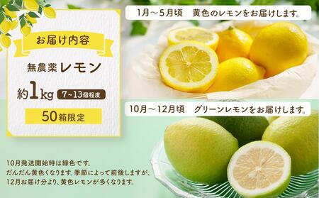 【月間50箱限定】皮まで美味しい無農薬レモン1kg