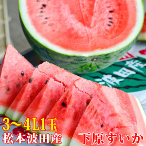 スイカ 下原すいか 信州 松本波田産 3～4L ( 8kg ～ 11kg ) × 1玉 | フルーツ 夏 スイカ 西瓜 大玉スイカ シャキ感 甘い ふるーつ 果物 野菜 長野県 松本市 信州産 人気 