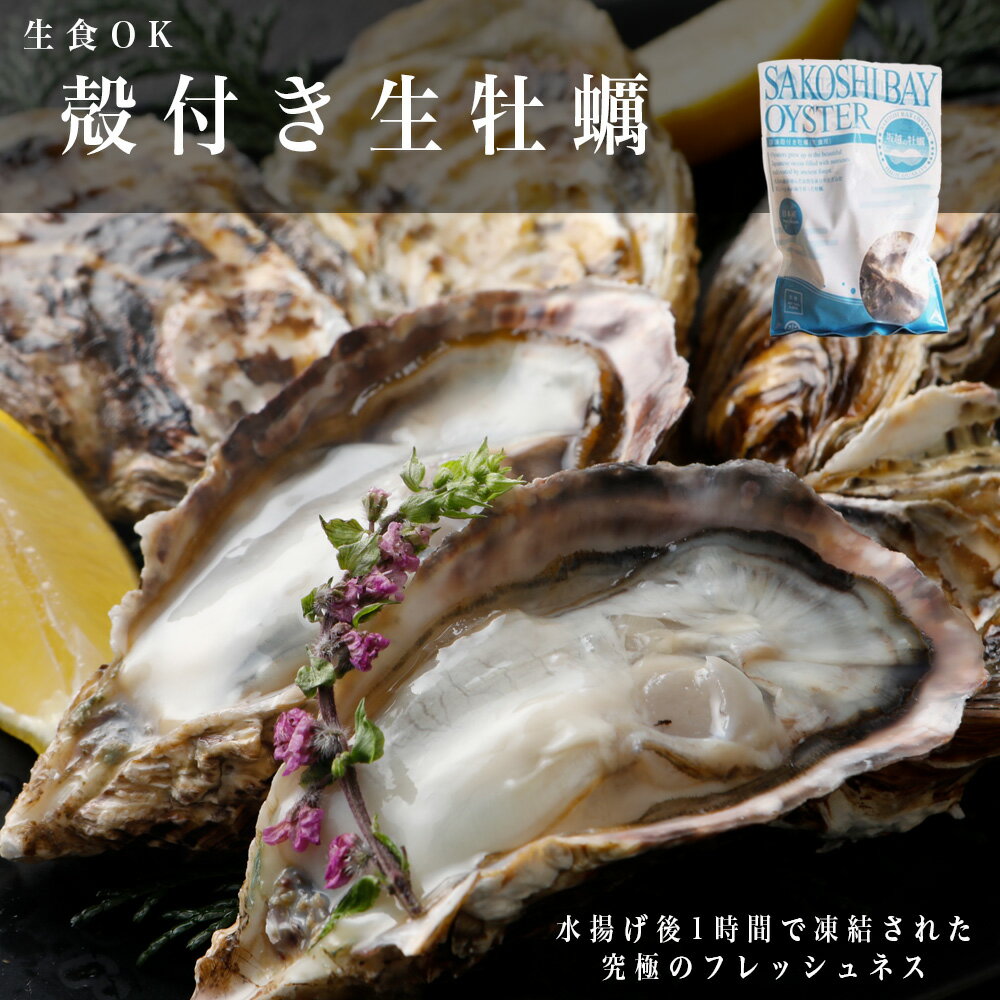 【ふるさと納税】生食OK 坂越かき 殻付き生牡蠣12個入り【冷凍】 生牡蠣 かき カキ 殻付 生食 国産 兵庫県 赤穂市