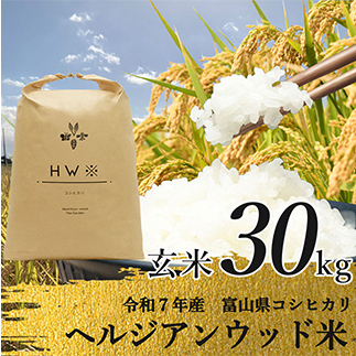 【令和7年産】玄米 ヘルジアンウッド米 30kg 富山県産コシヒカリ 玄米 国産 米 お米 日本米 ギフト 贈り物 食品 F6T-1022