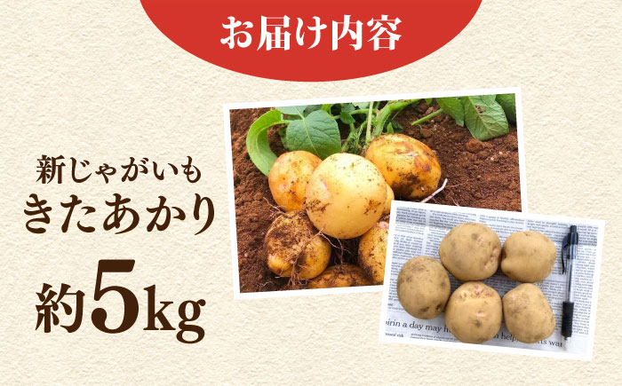 【先行予約】新じゃが　きたあかり　約5kg（5月～6月）【鈴也ファーム】 [AKCE021]