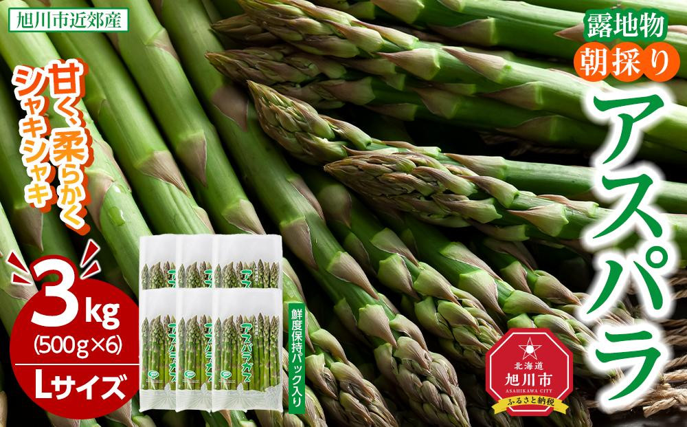 
            【2026年先行予約】朝採りアスパラ Lサイズ 3kg（500g×6）鮮度保持パック入り 旭川近郊産 露地物(5月中旬発送開始予定) 【 アスパラ アスパラガス 朝採り とれたて 野菜 旬 小分け 保存 産直 産地直送 お取り寄せ 旭川市 北海道 】_01592
          