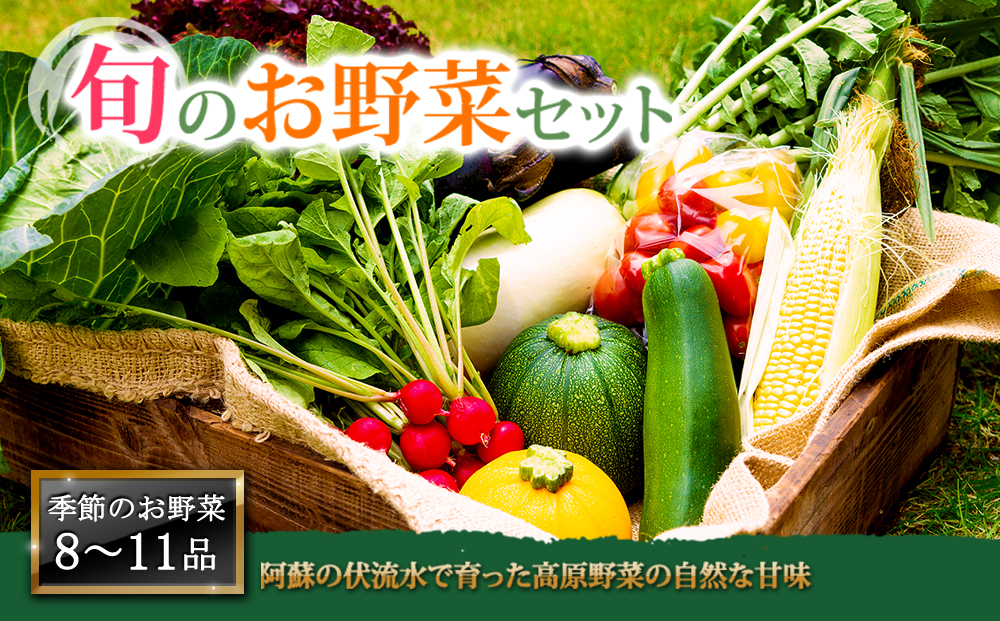 季節のお野菜セット Lサイズ 野菜 8～10品 詰め合わせ 新鮮 減農薬 旬 産地直送 採れたて 美味しい 人気 自然 安心 安全 旬 熊本 阿蘇