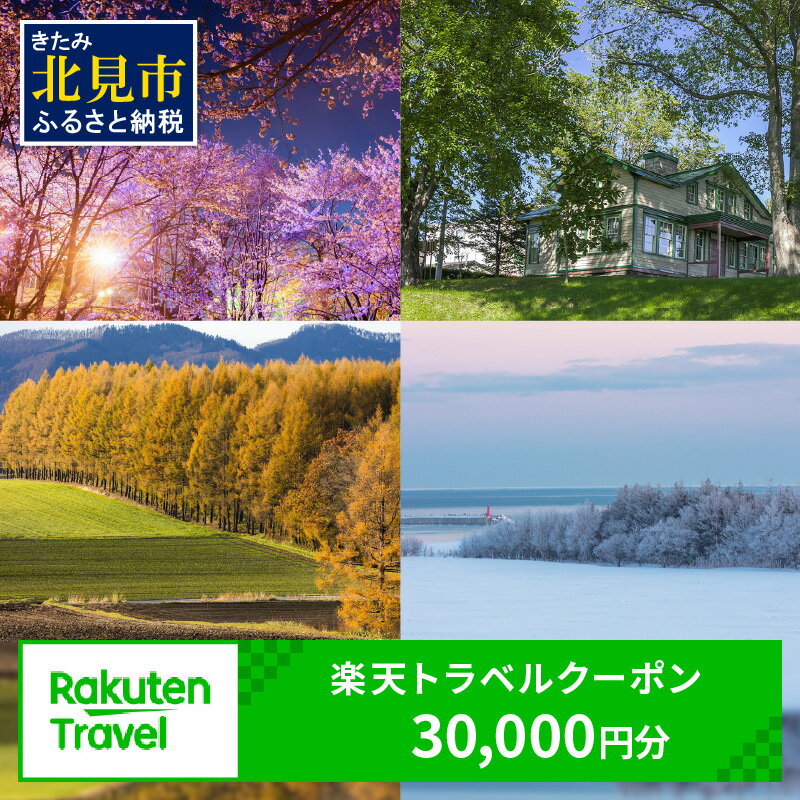 【ふるさと納税】北海道北見市の対象施設で使える楽天トラベルクーポン 寄附額100,000円 旅行 クーポン チケット ふるさと納税 楽天トラベル