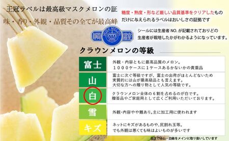 クラウンメロン【並(白等級)】特大玉(1.5kg前後)6玉入り 果物 メロン青肉 フルーツ デザート 高級メロンブランド 高級メロン ブランドメロン 
