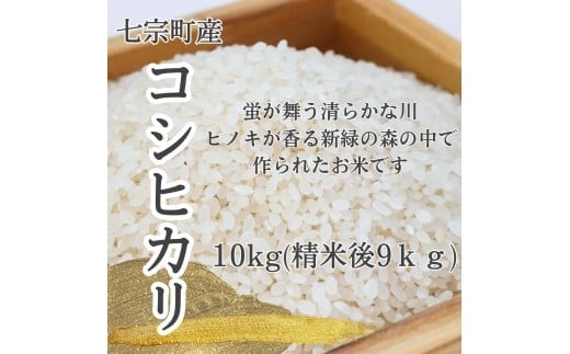 
            ※新米コシヒカリ 9kg×1パック（10kgを精米）◇
          