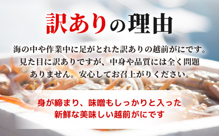 越前がに本場の越前町からお届け！【訳あり】≪浜茹で≫越前がに 3杯（生で1杯400～600g）食べ方しおり付【規格外 雄 ズワイガニ かに カニ 蟹 越前ガニ 姿 ボイル 冷蔵 福井県】【2月発送分】