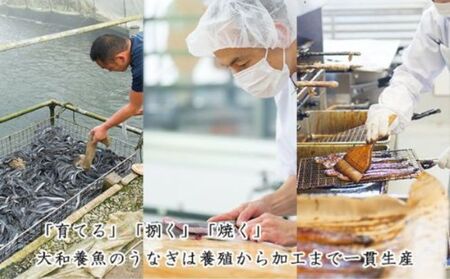 きざみうなぎ 蒲焼 60g×10 訳あり 小分け きざみうなぎ