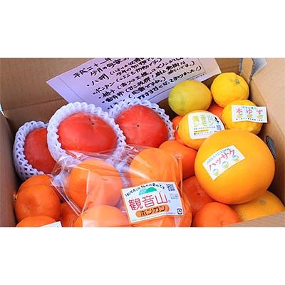 ふるさと納税 紀の川市 観音山フルーツ詰め合わせ(ゴールド)約5kg