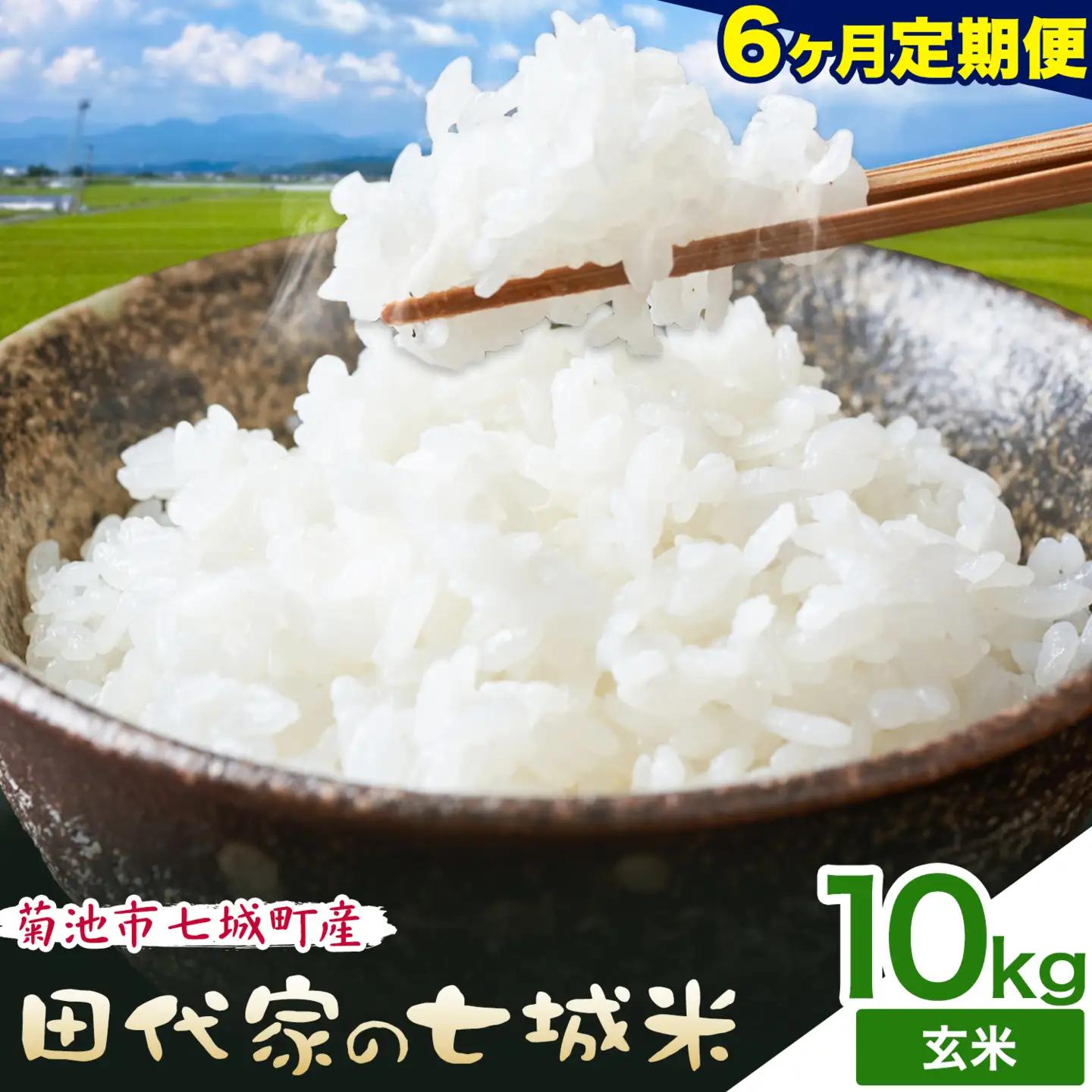 【6ヶ月定期便 】令和7年産 菊池市七城町産 田代家の七城米 七城ヒノヒカリ 玄米 10kg 田代こめや《お申し込み月の翌月から出荷開始》熊本県 菊池市 米 お米 精米 ひのひかり 菊池市産 熊本県産 九州産 送料無料