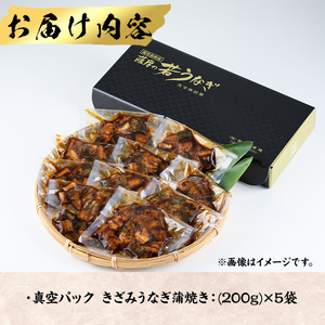 鹿児島県産うなぎきざみ蒲焼セット (200g×5袋) 鰻 ウナギ きざみ うな重 ひつまぶし かばやき 九州産 国産 冷凍 真空パックうなぎ 蒲焼き【西日本養鰻】B176