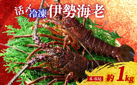 【冷凍】 伊勢海老 4尾 ～ 6尾 約 1kg 活〆 山藤 えび 海老 ebi いせえび 伊勢えび 伊勢 魚 魚介 海鮮 海産物 海 特産品 うま味 旨味 海の幸 アウトドア BBQ 刺身 炭火焼 産地直送 国産 三重 南伊勢 伊勢志摩