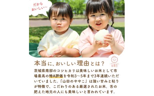 コシヒカリ 白米 10kg 特別栽培米『山田のややこ』 令和7年産 【茨城県共通返礼品・河内町産】 | コシヒカリ 有機肥料 こしひかり 米 お米 白米 精米 特別栽培米 ごはん ご飯 コシヒカリ 稲