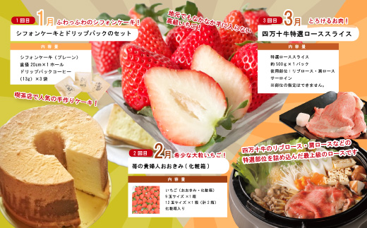 【年末限定】 12回 定期便 四万十 人気 グルメ お楽しみ定期便 しまんと ふるさと 30万円 今だけ 年末 限定 肉 いちご うなぎ 牛肉 パン まぐろ マグロ かつお フルーツ 人気グルメ ごち