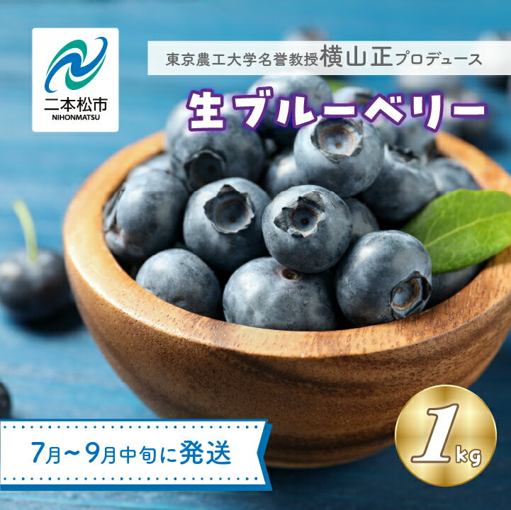 【ふるさと納税】《2025年7月以降順次発送》東京農工大学名誉教授「横山　正」ブランドのブルーベリー果実1kg（品種おまかせ） ブルーベリー 産地 直送 新鮮 果物 フルーツ おすすめ お中元 お歳暮 ギフト 二本松市 ふくしま 福島県 送料無料 【東和ブルーベリー研究農園】