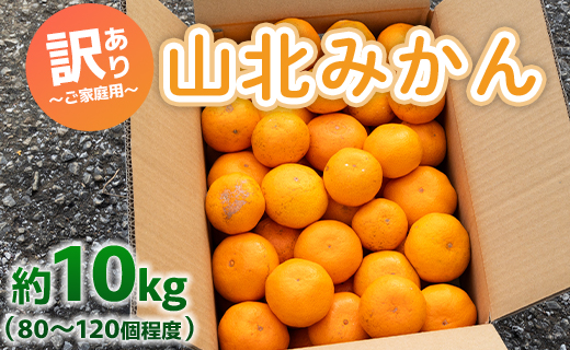 訳あり 山北みかん ご家庭用 約10kg（80～120個程度） 山北みらい - 果物 フルーツ 柑橘類 温州みかん ミカン 蜜柑 甘い おいしい 美味しい 高知県 香南市 yk-0043