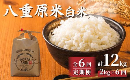 【寄附額改訂↓】令和8年新米予約【6回定期便】八重原米2kg（2kg×1袋）合計12kg 白米 コシヒカリ 特A米 ※2026年10月以降順次発送｜笹屋農園「農薬削減長野県認証取得」　先行予約 お米