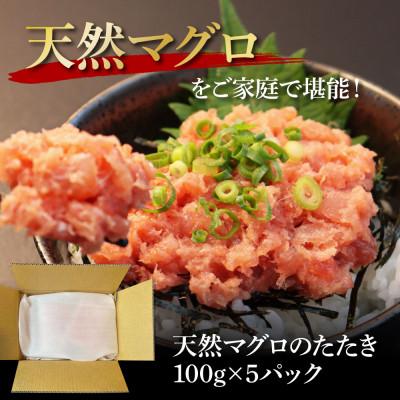 ふるさと納税 芸西村 天然マグロのタタキ丼セット (100g×5パック)【KGP072】 |  | 03