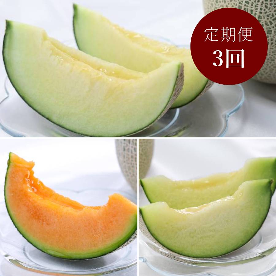 ＜山一ファーム＞旬の時期にお届け 茨城県産 3種のメロンの定期便A