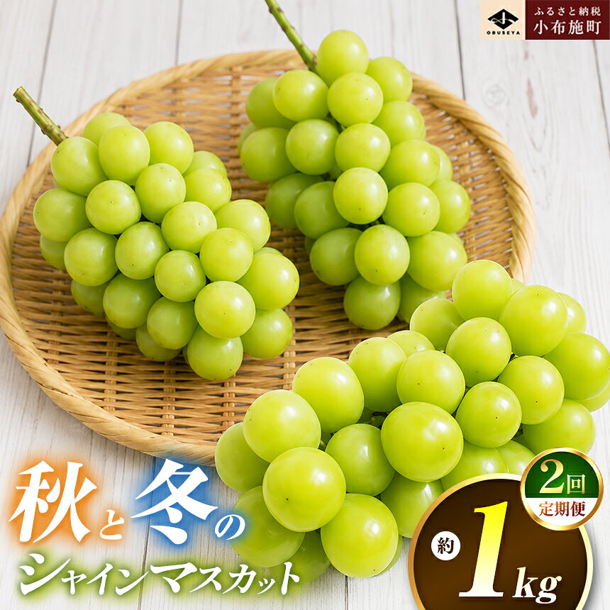 【ふるさと納税】 秋 冬 シャインマスカット 2回定期便 約1kg × 2回 合計 約2kg ［小布施屋］ フルーツ ぶどう 果物 くだもの 葡萄 ブドウ 長野県産 信州産 クール便 冷蔵便 先行予約 令和8年産 【2026年10月～12月発送】 家庭用 デザート 食後 食卓