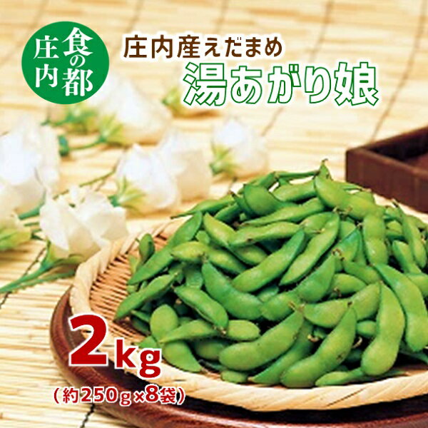 【ふるさと納税】食の都庄内　庄内産えだまめ「湯あがり娘」2kg（250g×8袋）※7月下旬頃より配送予定 （庄内たがわ農業協同組合）