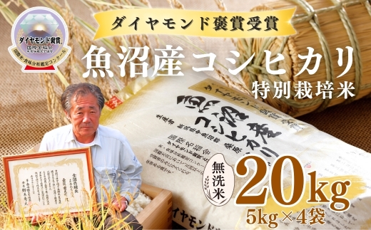 【令和8年産先行予約】魚沼産コシヒカリ 無洗米 20kg(5kg×4袋) 特別栽培米 ダイヤモンド褒賞受賞 | 新潟産コシヒカリ 新潟県産コシヒカリ 魚沼産こしひかり 米 お米 こしひかり 白米 無洗米 ブランド米 最高級 新潟県 津南町