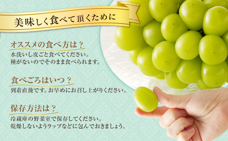 【2026年発送分 先行受付スタート！】【定期便】岡山県産シャインマスカット「晴王」　秀品　大房（約5kg・5～9房目安）×10回発送（令和８年7月以降発送）【 シャインマスカット 晴王 フルーツ 果